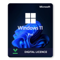 Windows 11 professional digital licence