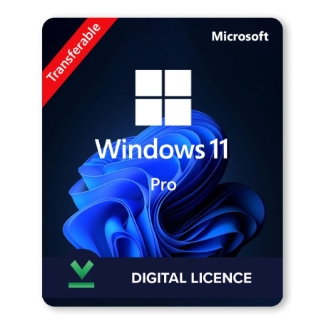 Windows 11 professional transferable digital licence